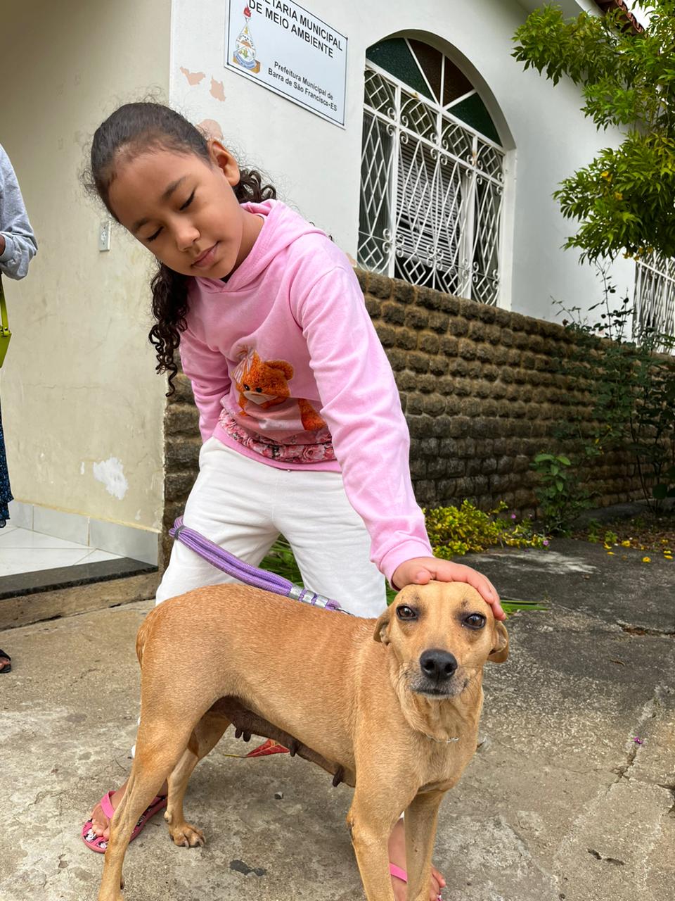 Em menos de dois meses funcionando em Barra de São Francisco, Programa Pet Vida se destaca no cuidado e bem-estar animal; conheça  